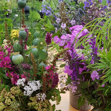 Stauder til sommerfugle og insekter